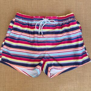EUC 2xist Multicolor Striped Swim Shorts